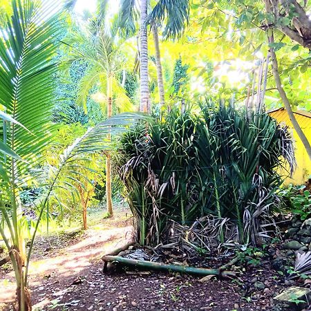 פורט אנטוניו La Familia Guest House And Natural Farm מראה חיצוני תמונה