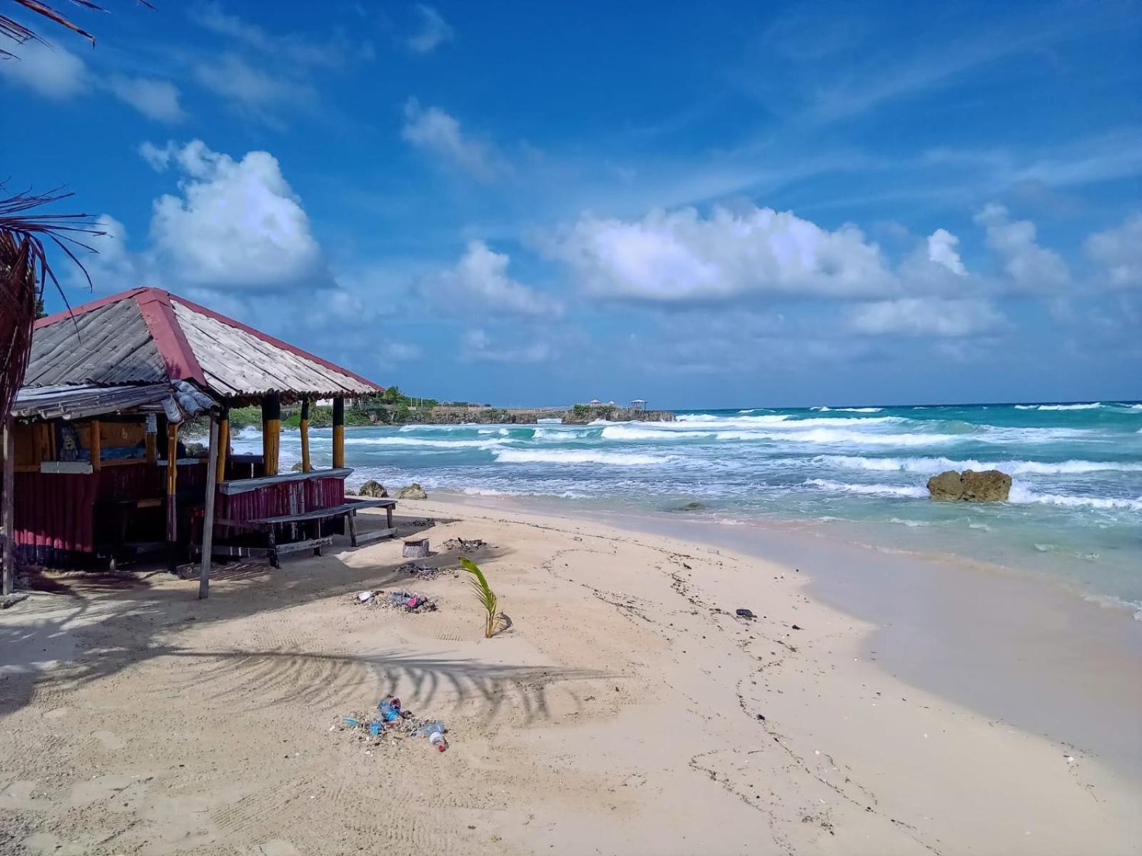 פורט אנטוניו La Familia Guest House And Natural Farm מראה חיצוני תמונה