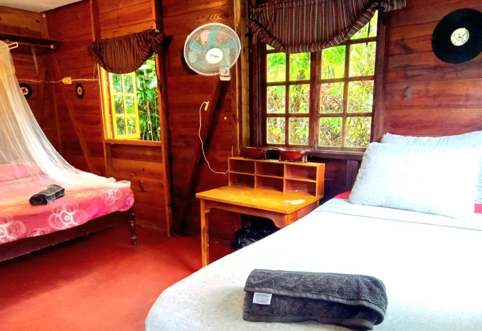 פורט אנטוניו La Familia Guest House And Natural Farm מראה חיצוני תמונה