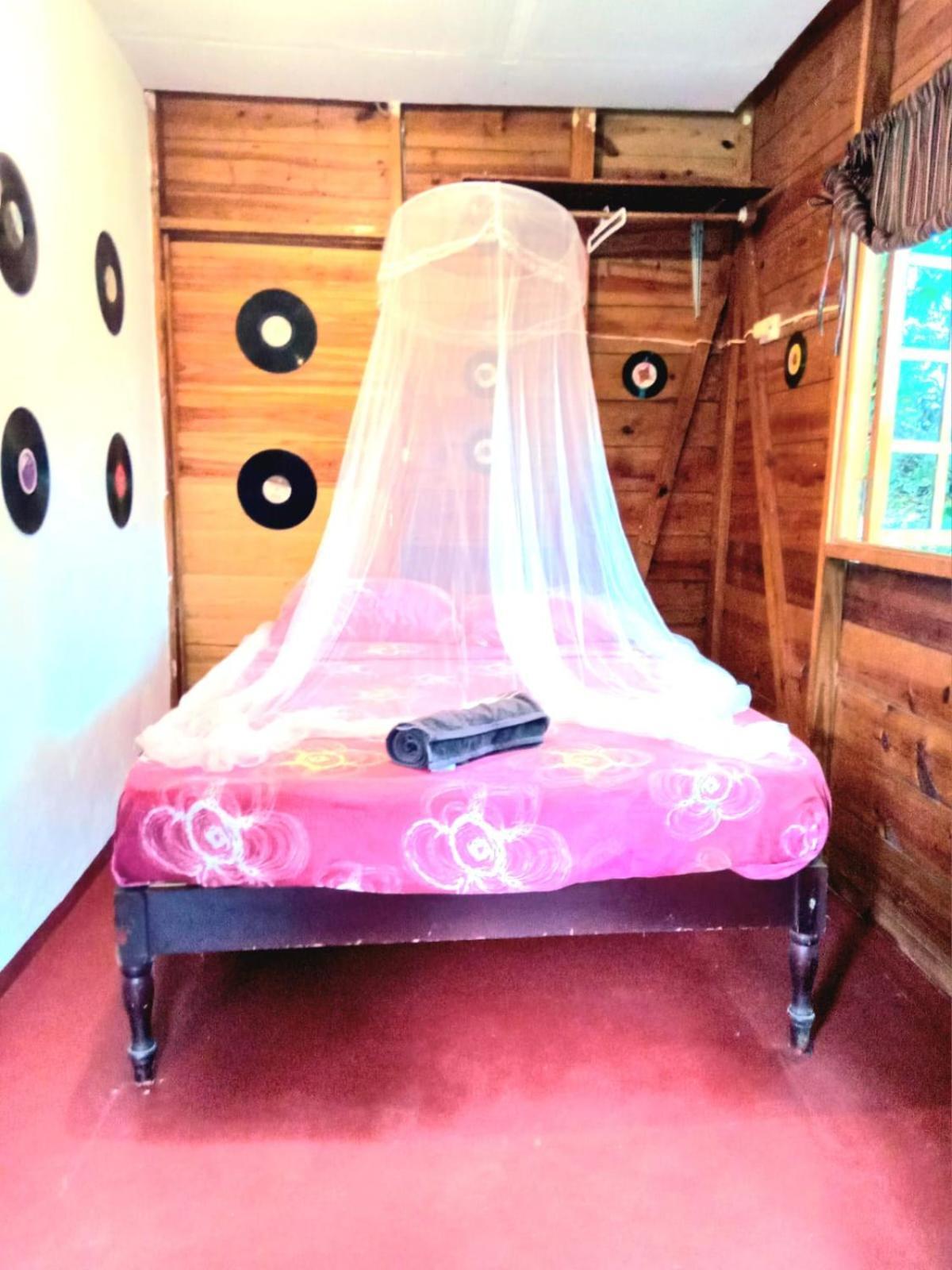 פורט אנטוניו La Familia Guest House And Natural Farm מראה חיצוני תמונה