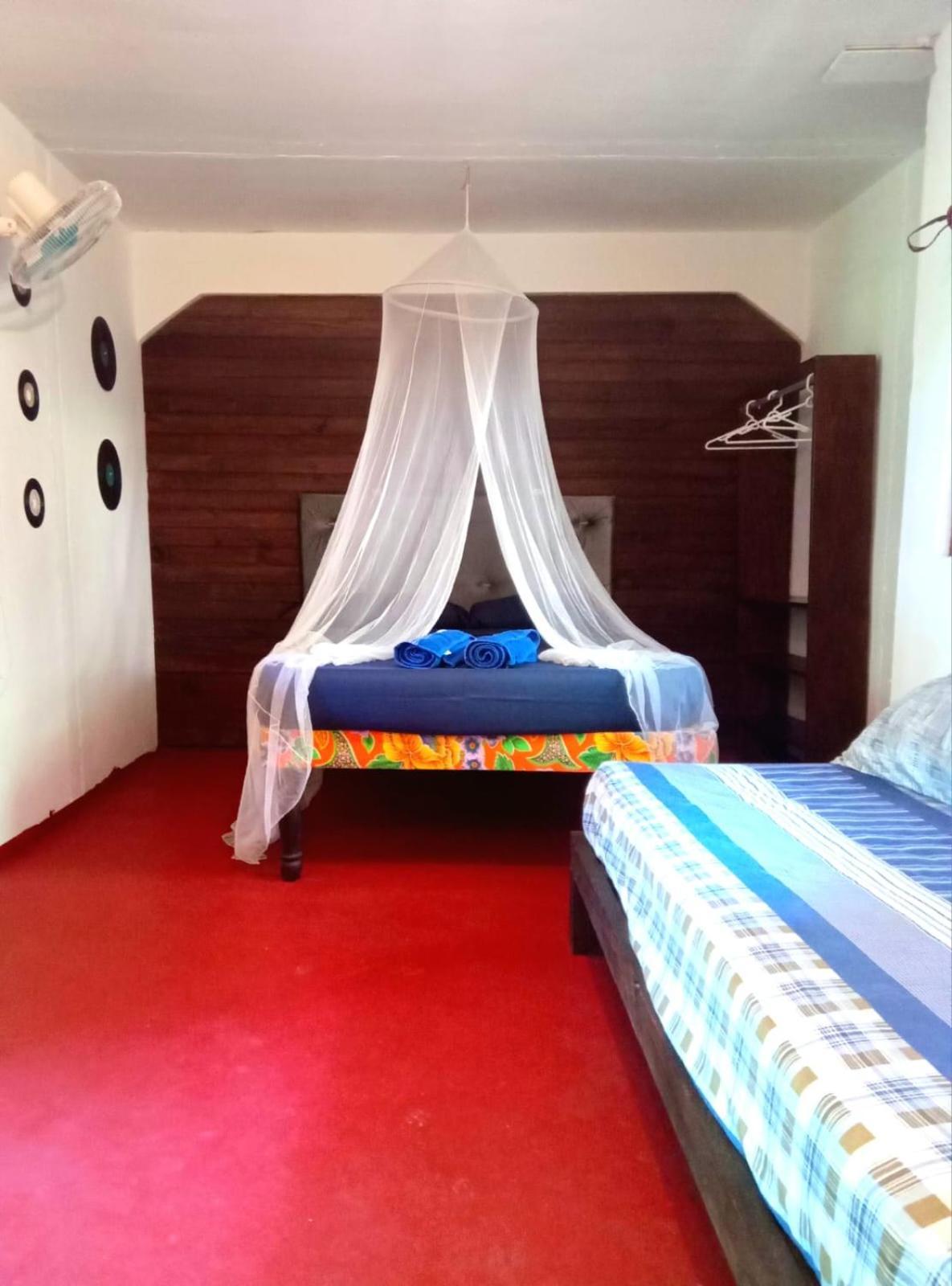 פורט אנטוניו La Familia Guest House And Natural Farm מראה חיצוני תמונה