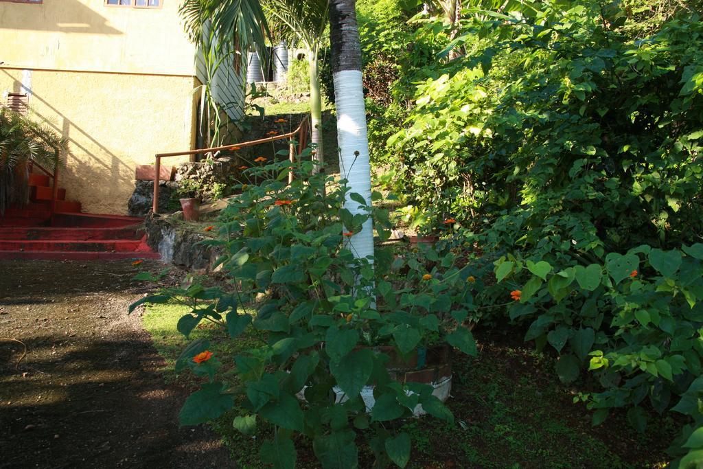 פורט אנטוניו La Familia Guest House And Natural Farm מראה חיצוני תמונה