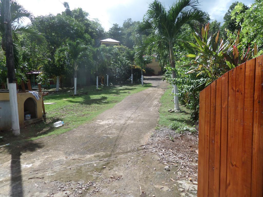 פורט אנטוניו La Familia Guest House And Natural Farm מראה חיצוני תמונה