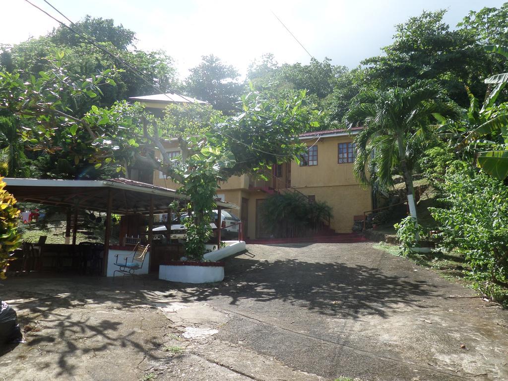פורט אנטוניו La Familia Guest House And Natural Farm מראה חיצוני תמונה