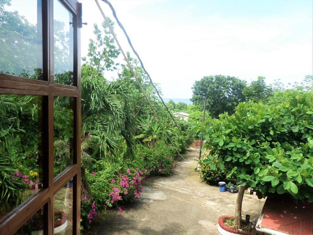פורט אנטוניו La Familia Guest House And Natural Farm מראה חיצוני תמונה