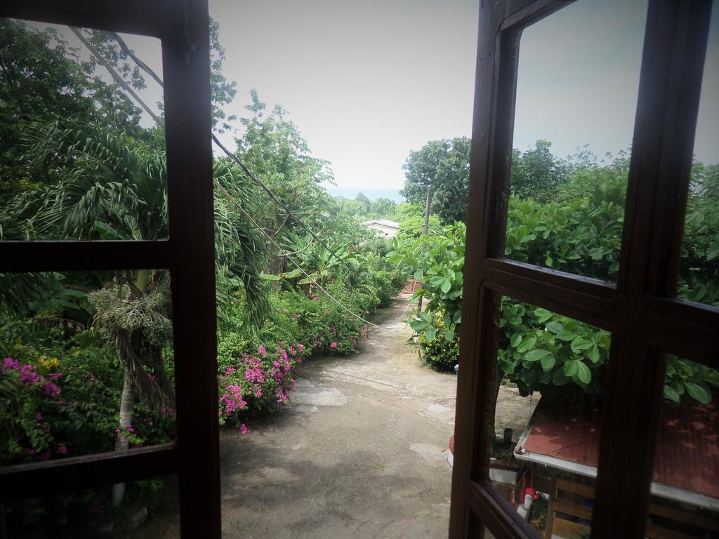 פורט אנטוניו La Familia Guest House And Natural Farm מראה חיצוני תמונה