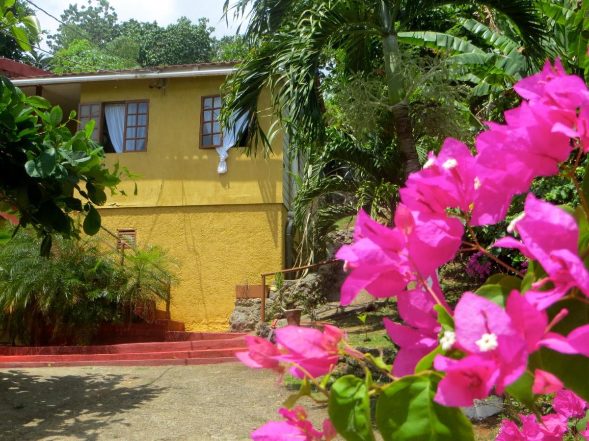 פורט אנטוניו La Familia Guest House And Natural Farm מראה חיצוני תמונה